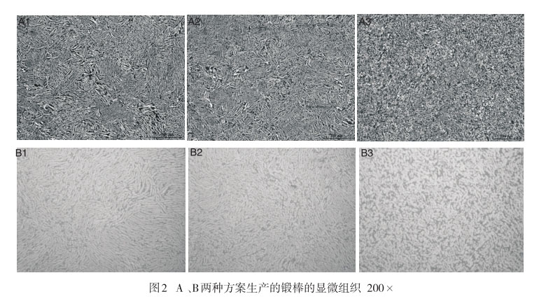 A 、B兩種方案生產(chǎn)的鍛棒的顯微組織